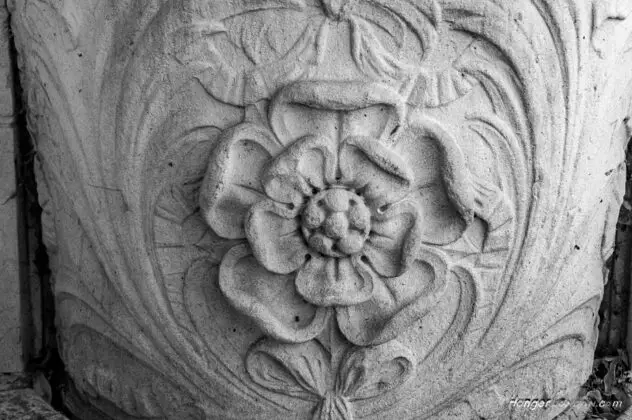 Tudor Rose Emblem