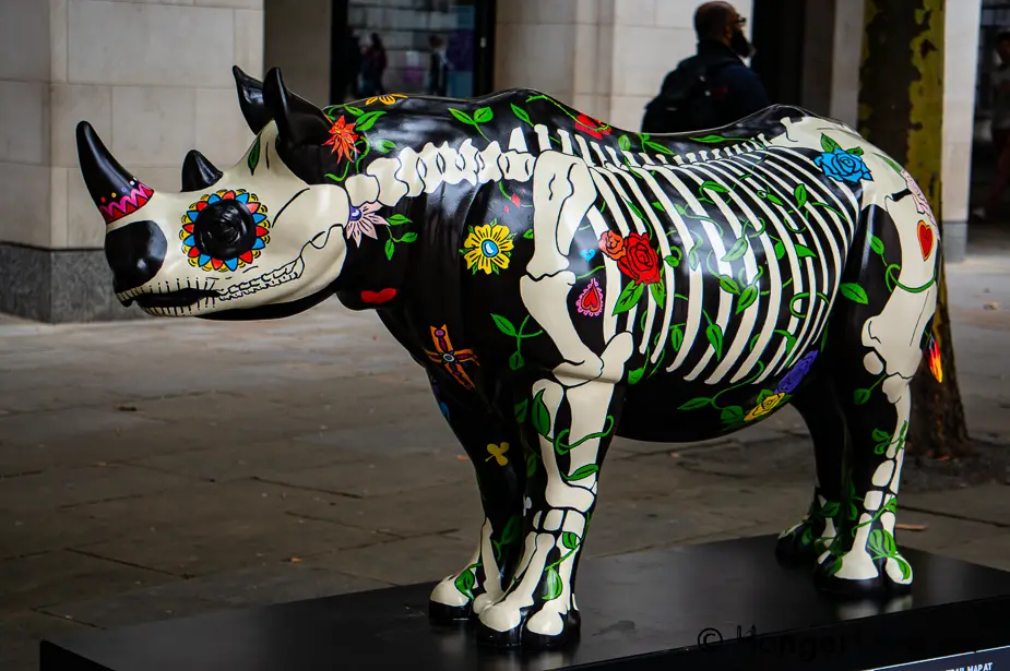 Rhino Art Trail: Discover London's Thriving Art Scene 5