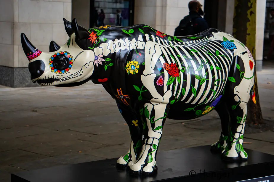 Rhino Art Trail: Discover London's Thriving Art Scene 11 Rhino Art Trail: Discover London's Thriving Art Scene 5