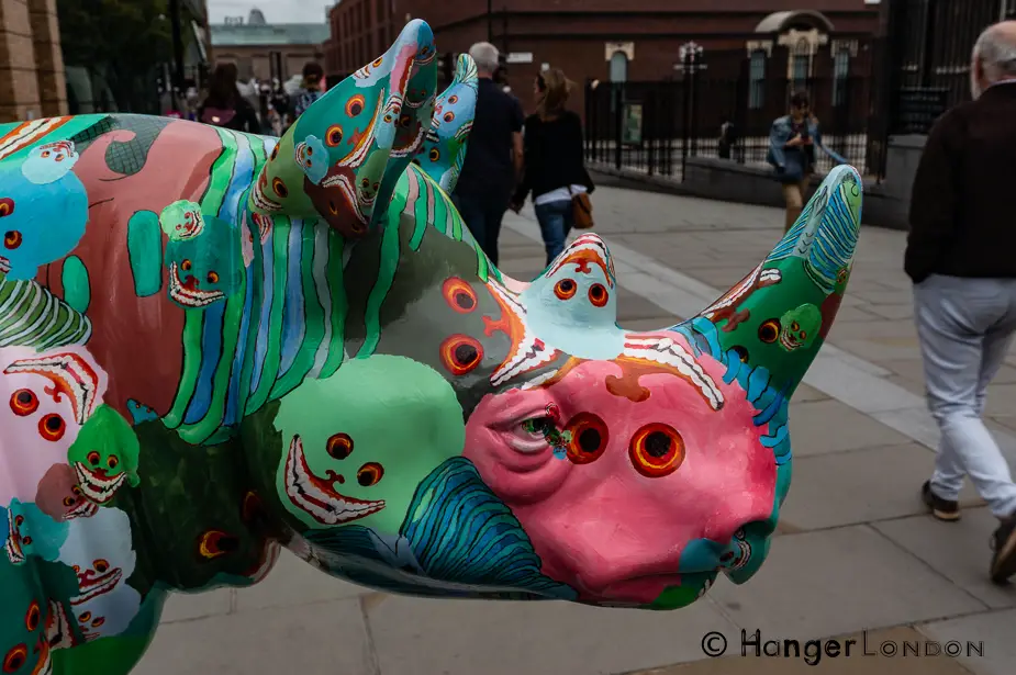 Rhino 19 By Artist Zhang Huan poppy and Skulls 