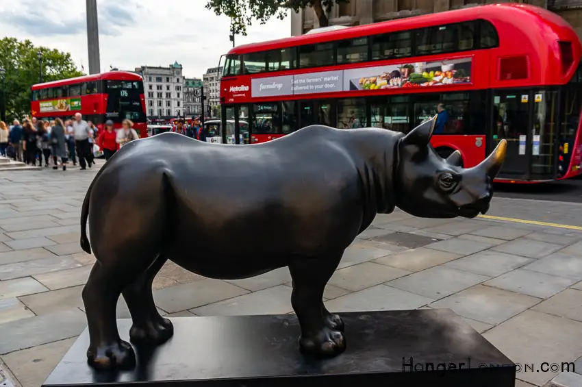 Rhino Art Trail: Discover London's Thriving Art Scene 13