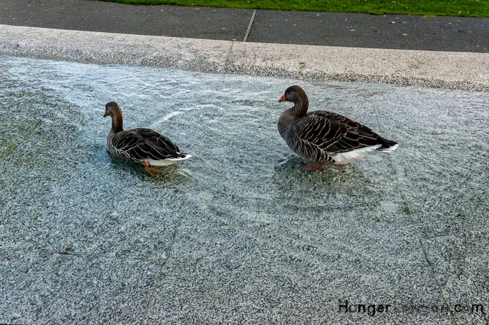 Rare 1997 Picture of Tributes to Princess Diana and Today's Legacy 8 Princess Diana Memorial Fountain Hyde Park