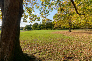 Hyde Park Autumn
