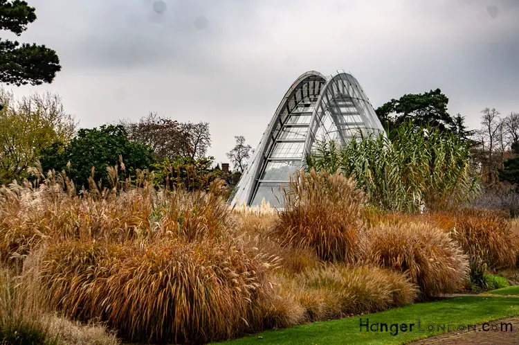 Discover the Magic of Kew Gardens in Autumn: Your Guide to the Golden Season 2