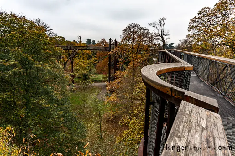 Treetop Walkway Kew Gardens