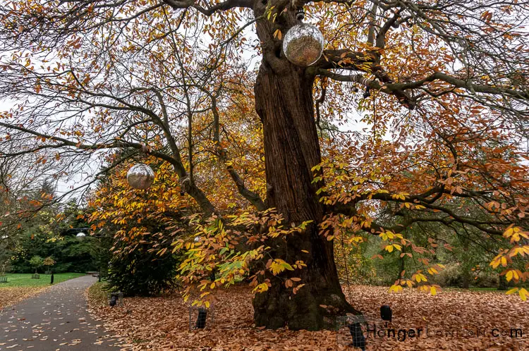 Tree suspended Glitter balls Kew Gardens Autumn