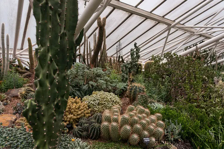 The Barbican Conservatory: The Alternative option to Kew Gardens 2