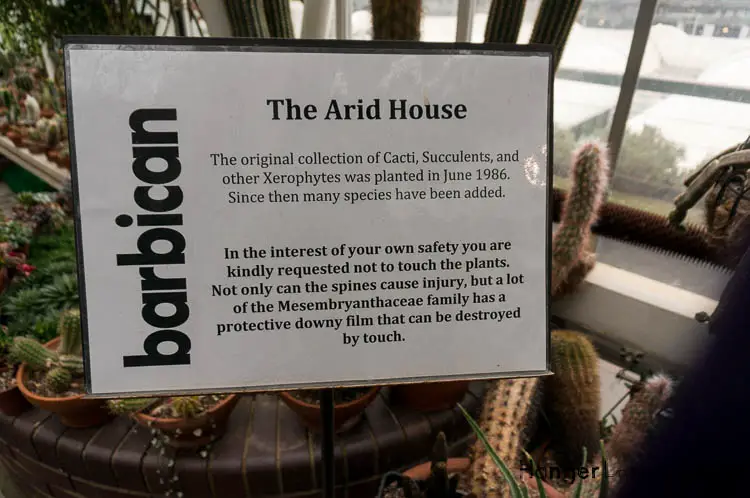 The Battle of the Botanical Giants: The Barbican Conservatory vs Kew Gardens 23 Info on the arid House