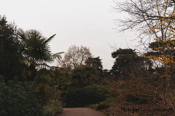 winter mediterranean garden