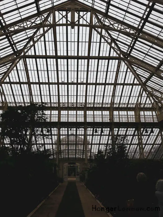 Kew Gardens' Winter Charm: Exploring Holly & Hazel 34 Temperate greenhouse