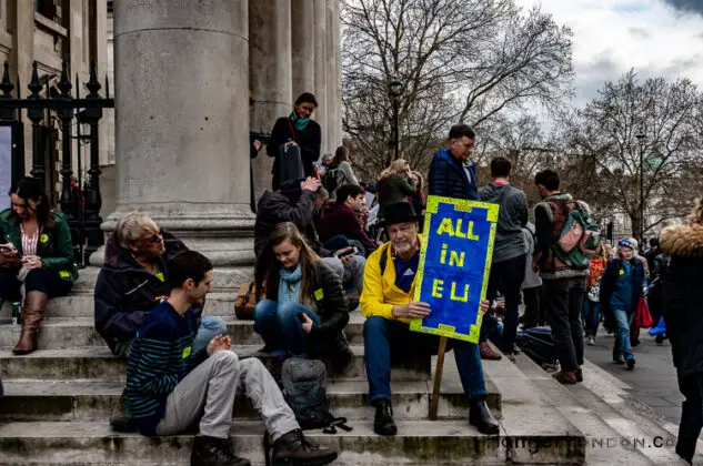 Brexit Culture: Flags and Signs Speak Out 3 eu anti brexit poster