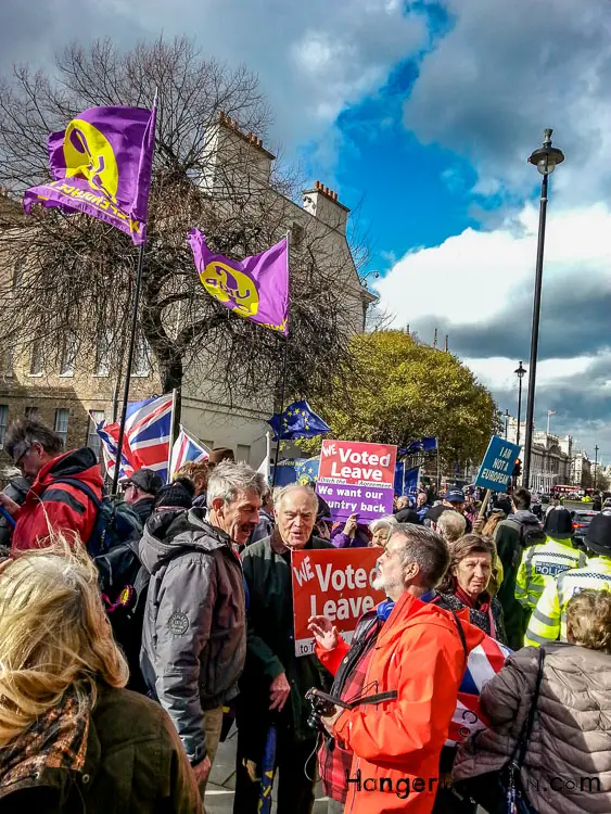 mixed brexit protestors