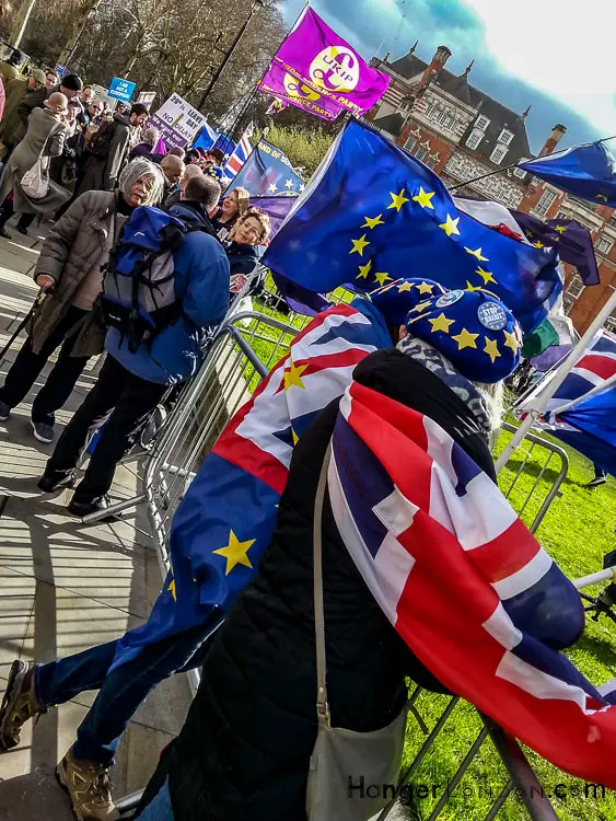 Brexit Culture: Flags and Signs Speak Out 12 Brexit protestors 5