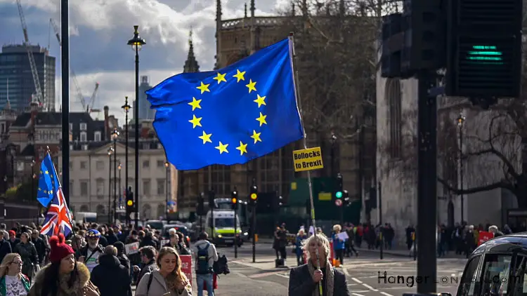 Brexit Culture: Flags and Signs Speak Out 1