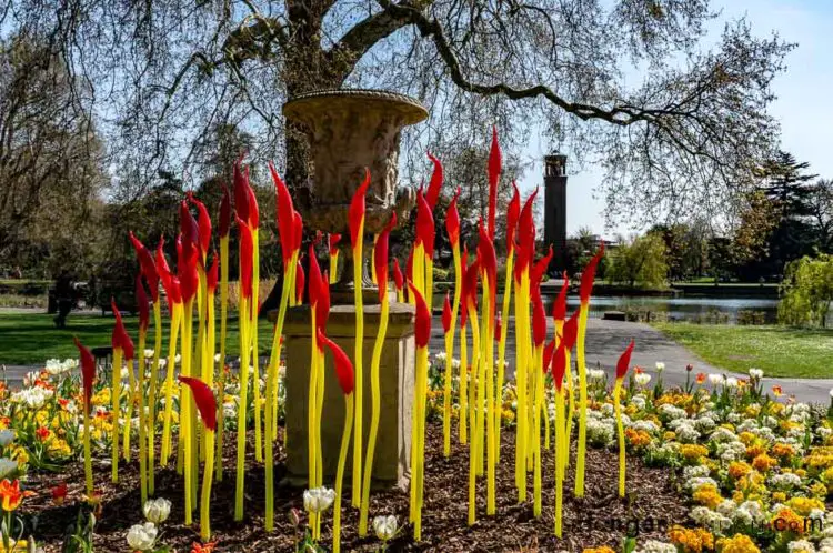 Chihuly glass stems of red and yellow in front of the Palm House lake Kew "Paintbrushes"