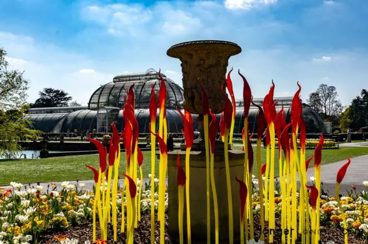 Paint brushes chihuly's red tip glass with yellow stems infront of the Palm house kew