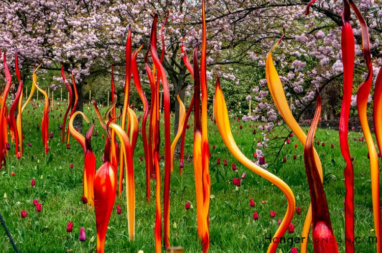 Prepare to be Blown Away: The Incredible Art of Dale Chihuly 1