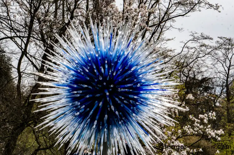 Dale Chihuly Glass sphere of pointed spikes blue and white and transparent