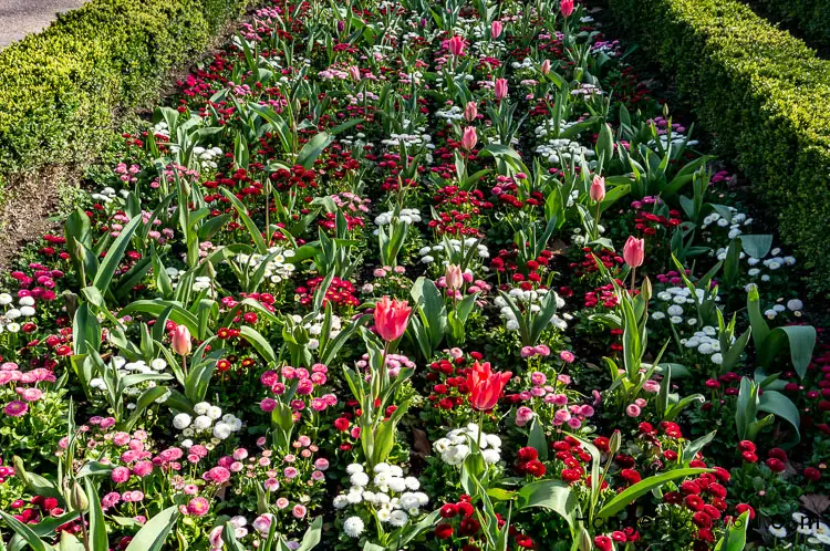 Flower Bed section of the Dutch Garden Holland Park