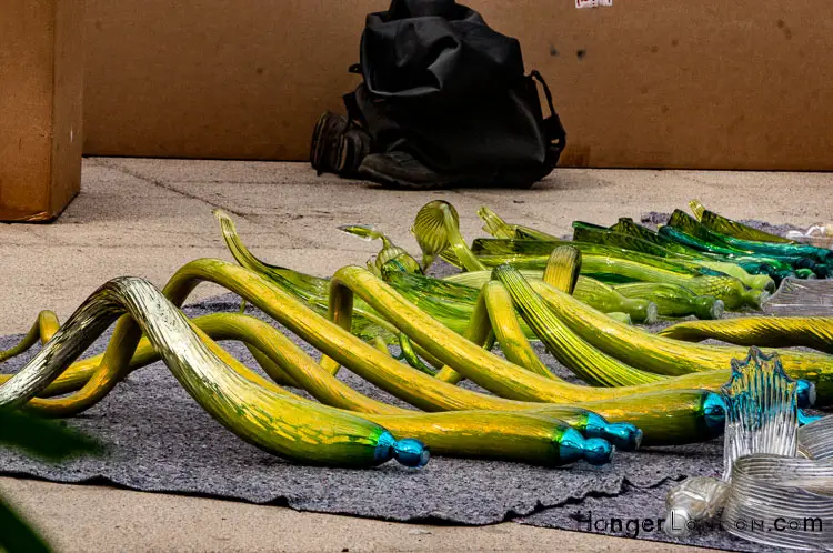 Iconic artist Dale Chihuly reflections on nature glass pipe plants being prepared