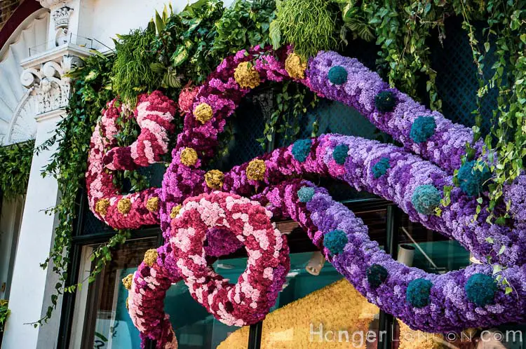 The definitive list of all 88 entries at RHS Chelsea in Bloom 2019 Flower Show 27 Chelsea in Bloom 3
