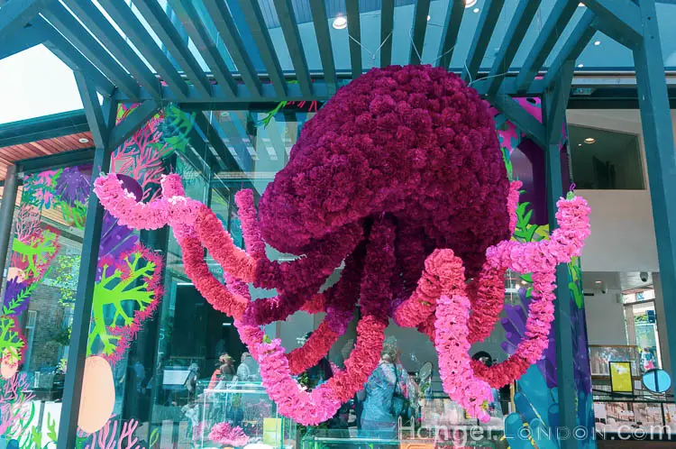 The definitive list of all 88 entries at RHS Chelsea in Bloom 2019 Flower Show 53 Chelsea in Bloom 34 octopus