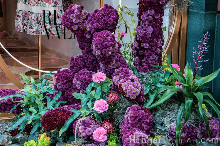The definitive list of all 88 entries at RHS Chelsea in Bloom 2019 Flower Show 30 Chelsea in Bloom Close up 5