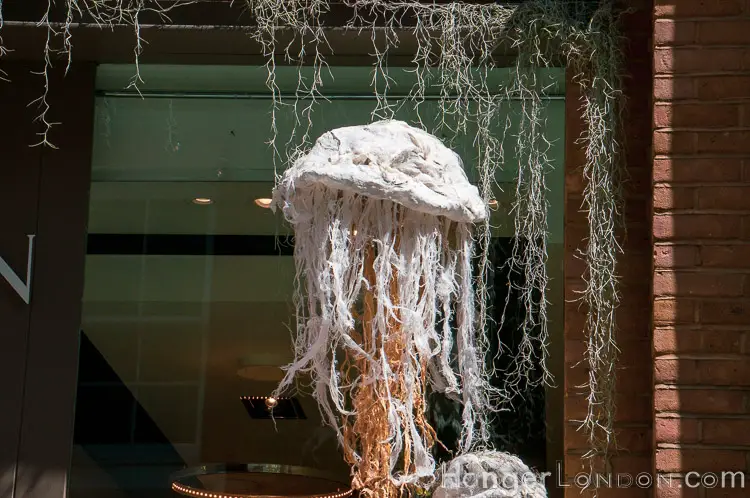 Chelsea in Bloom Jelly fish