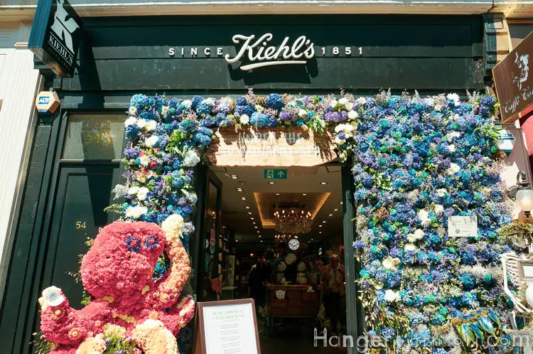 The definitive list of all 88 entries at RHS Chelsea in Bloom 2019 Flower Show 79 Chelsea in Bloom Kiehls 70