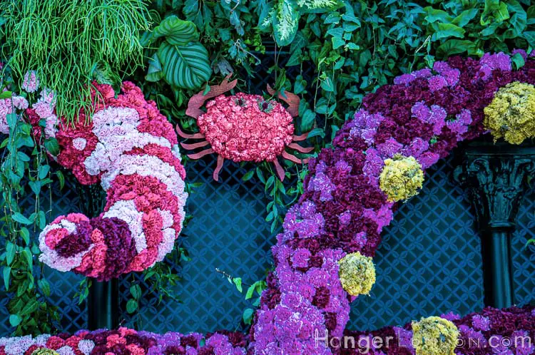 The definitive list of all 88 entries at RHS Chelsea in Bloom 2019 Flower Show 29 Chelsea in Bloom carb 3