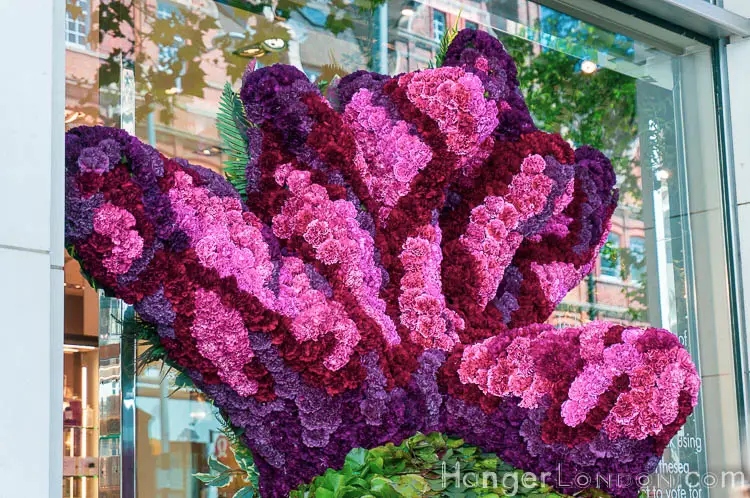 The definitive list of all 88 entries at RHS Chelsea in Bloom 2019 Flower Show 63 Chelsea in bloom 45 fish head