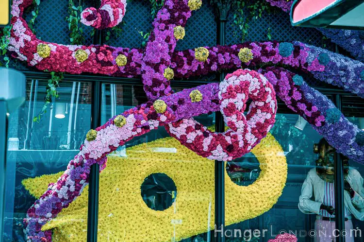 The definitive list of all 88 entries at RHS Chelsea in Bloom 2019 Flower Show 28 Chelsea in bloom Hackett 3