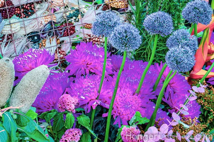 Chelsea in bloom vibrant chive