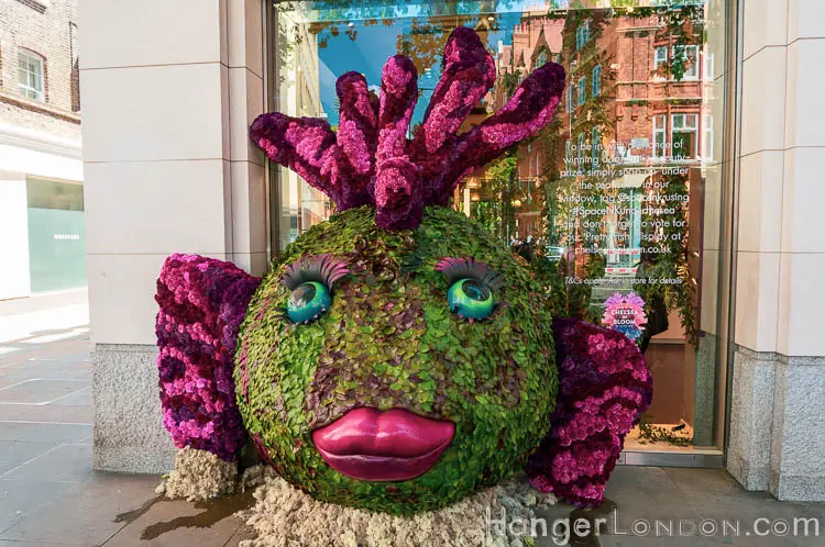 The definitive list of all 88 entries at RHS Chelsea in Bloom 2019 Flower Show 62 Fish Chelsea in bloom 45