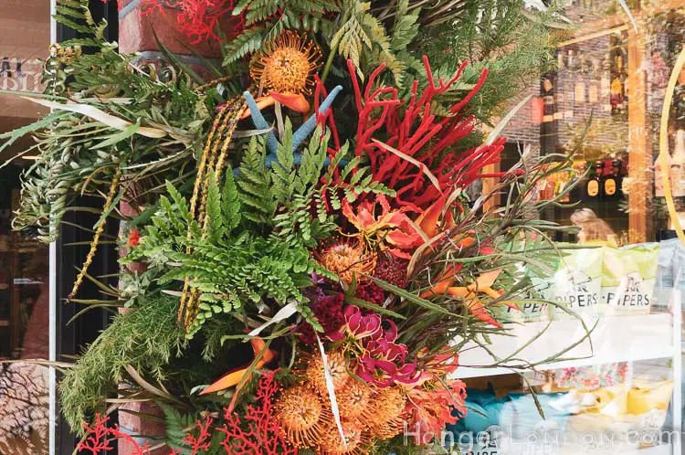 The definitive list of all 88 entries at RHS Chelsea in Bloom 2019 Flower Show 95 Flora close up Chelsea General Store in bloom