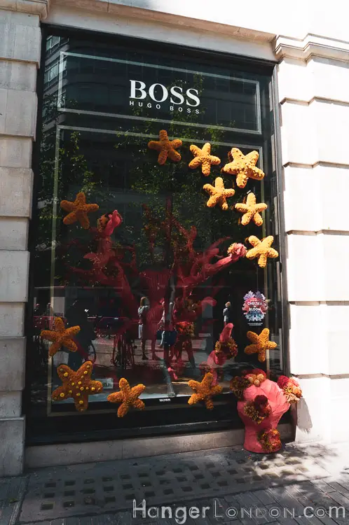 The definitive list of all 88 entries at RHS Chelsea in Bloom 2019 Flower Show 48 Hugo Boss in bloom 26