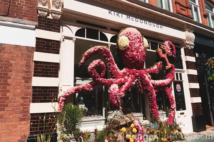The definitive list of all 88 entries at RHS Chelsea in Bloom 2019 Flower Show 80 Red octopus entry 72