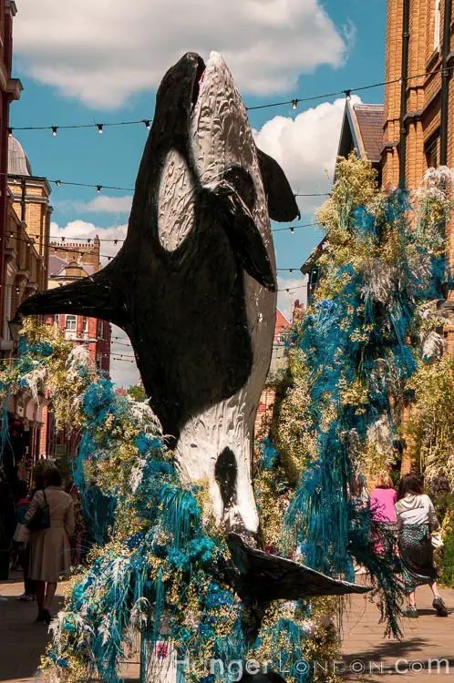 The definitive list of all 88 entries at RHS Chelsea in Bloom 2019 Flower Show 21 chelsea in bloom dolphin