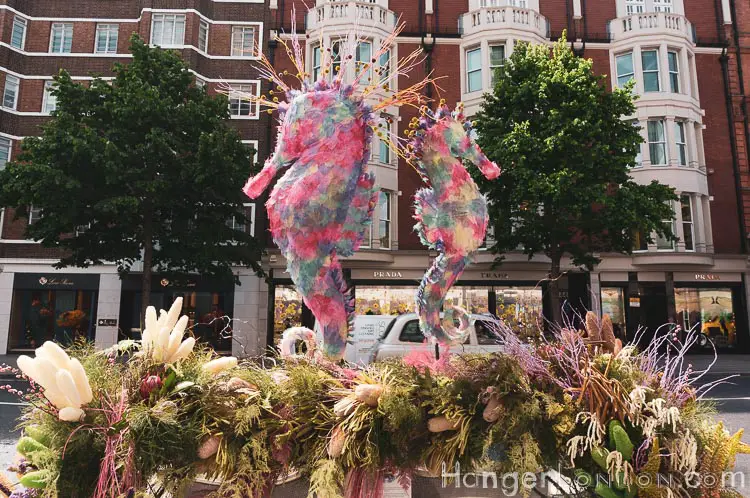 The definitive list of all 88 entries at RHS Chelsea in Bloom 2019 Flower Show 8 Sea Horse Chelsea in Bloom
