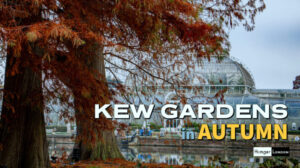 Kew Gardens in Autumn
