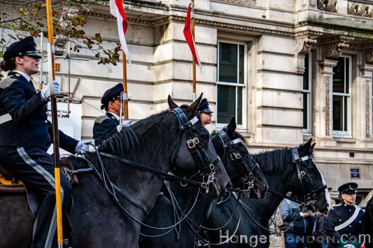 Horses Lord Mayors Show